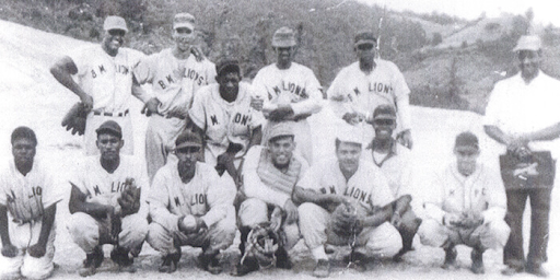 The Boone Mountain Lions Baseball Team